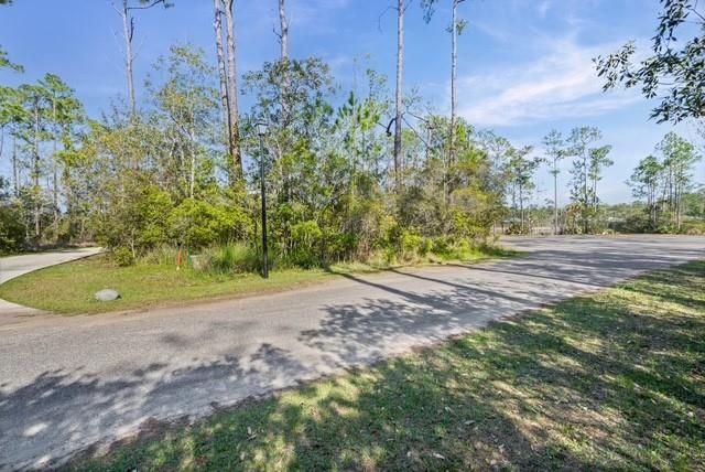 0 Palmetto Point, Theodore, AL 36582