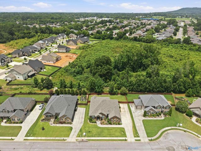 237 Nettles Drive, Madison, AL 35757
