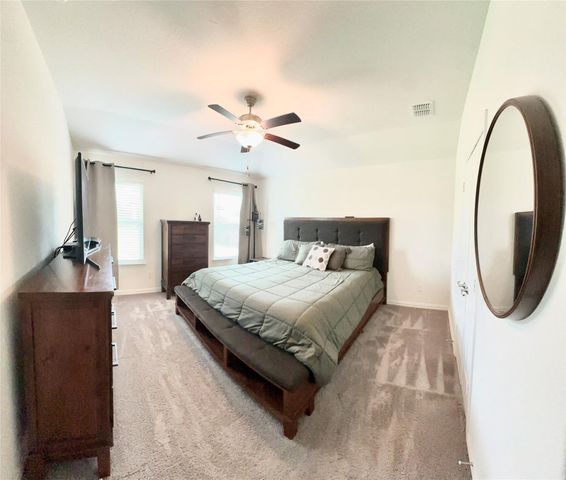 1364 Renoir Drive, Little Elm, TX 75068