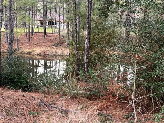 19525 Desna Drive, Porter, TX 77365