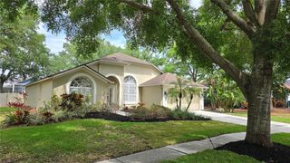 15209 ARBOR HOLLOW DRIVE, Odessa, FL 33556