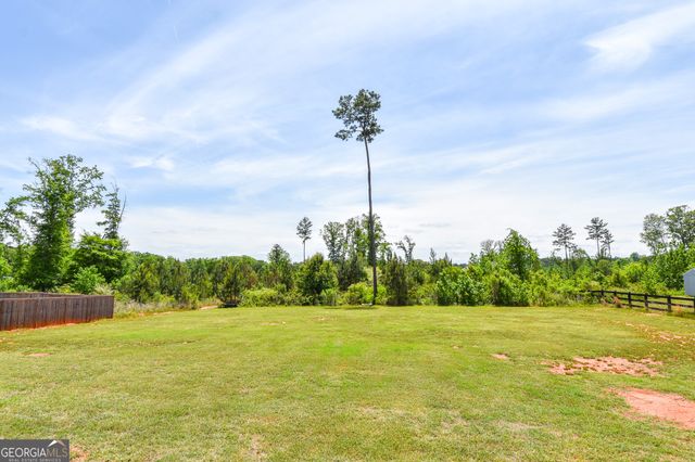 158 Conner Lane, Williamson, GA 30292