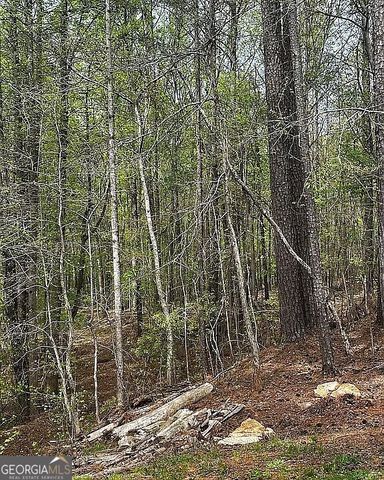 35 Hillandale Street, Newnan, GA 30263
