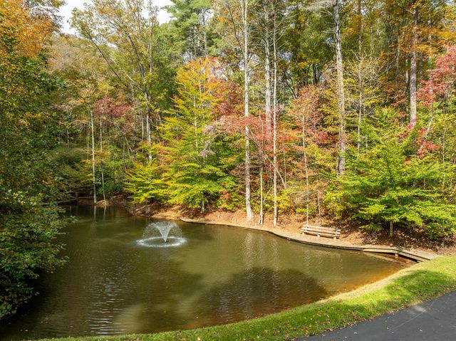 Lot 1 Chief Whitetails Road, Ellijay, GA 30540