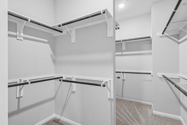 32411 Tallow Creek Drive, Waller, TX 77484