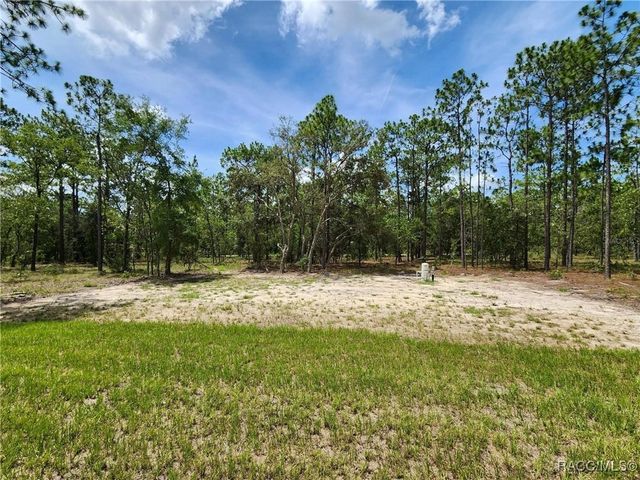 24780 NW Hillsdale Avenue, Dunnellon, FL 34431