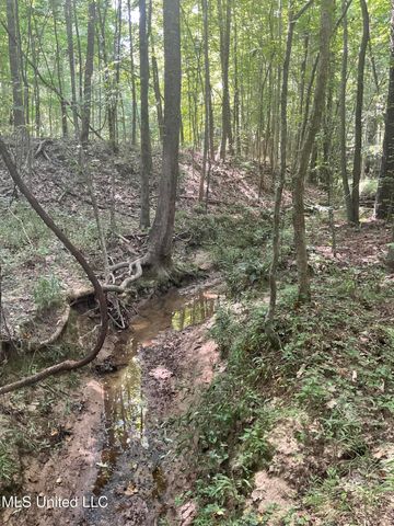 1277 Bar Ridge Drive, Edwards, MS 39066
