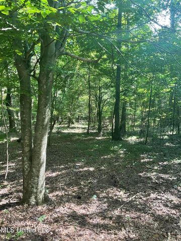 1277 Bar Ridge Drive, Edwards, MS 39066