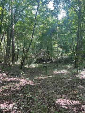 1277 Bar Ridge Drive, Edwards, MS 39066