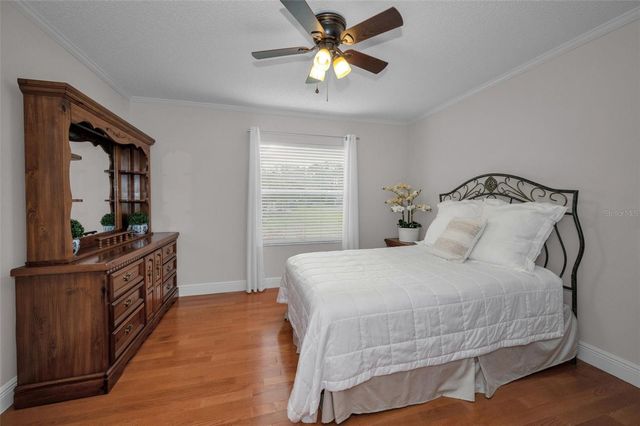 1628 WESTERHAM LOOP, Trinity, FL 34655