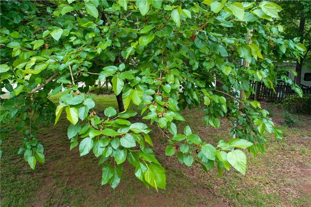 130 S King Street, Seneca, SC 29678