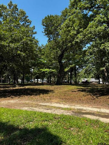 21047 Virginia Rd, Flint, TX 75762