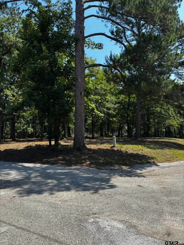 21047 Virginia Rd, Flint, TX 75762