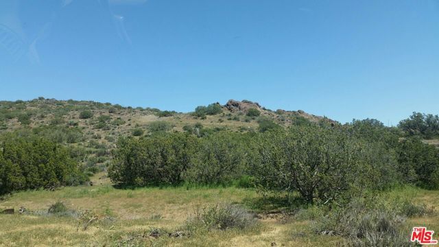 34590 Brock Ln Street, Acton, CA 93510