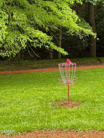 3114 Hatcher Top Road, Sevierville, TN 37862