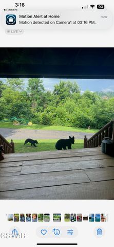 3114 Hatcher Top Road, Sevierville, TN 37862