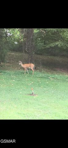 3114 Hatcher Top Road, Sevierville, TN 37862