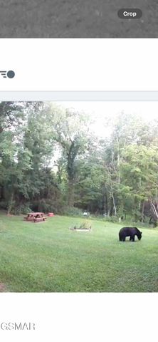 3114 Hatcher Top Road, Sevierville, TN 37862