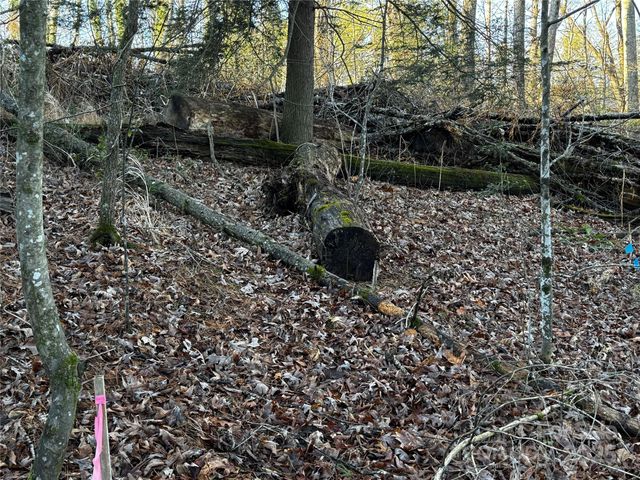 00 Westview Drive 14, Fletcher, NC 28791