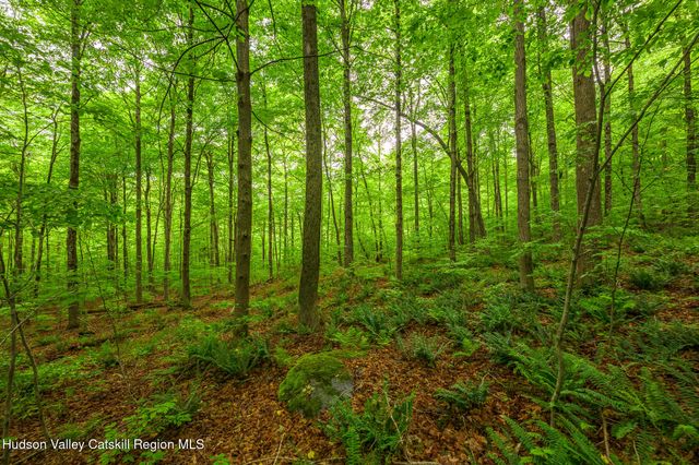 75 Upper Hollow Road, Austerlitz, NY 12017