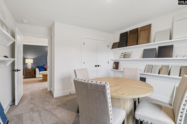 590 Griffon Drive, Chapin, SC 29036