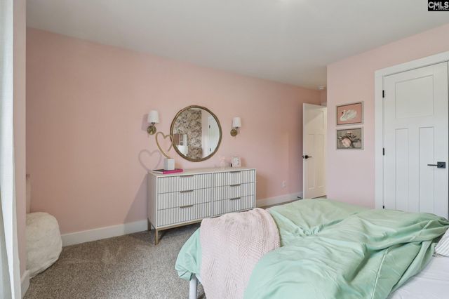 590 Griffon Drive, Chapin, SC 29036