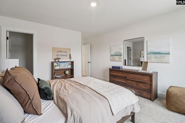 590 Griffon Drive, Chapin, SC 29036