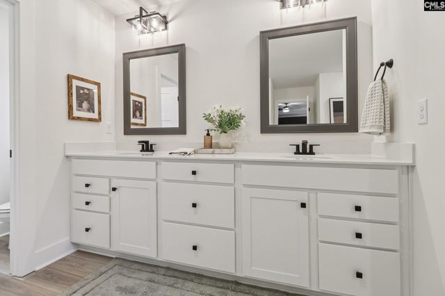 590 Griffon Drive, Chapin, SC 29036