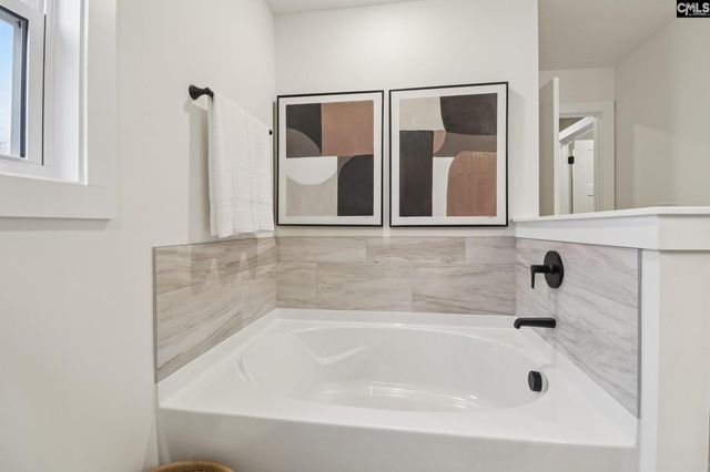 590 Griffon Drive, Chapin, SC 29036