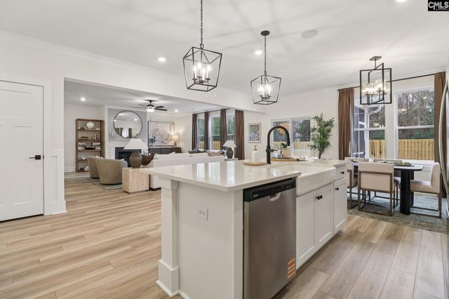 590 Griffon Drive, Chapin, SC 29036