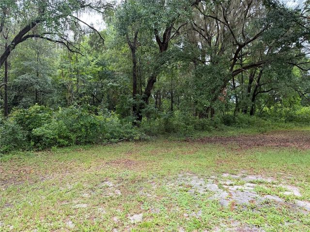 11455 NW 110TH AVENUE, Reddick, FL 32686