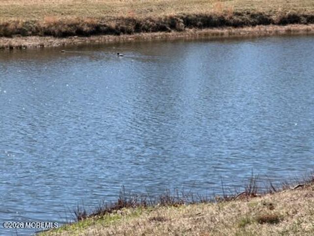 293B Malvern Court, Lakewood, NJ 08701