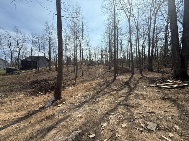 10005 Forest Lane, Bon Aqua, TN 37025