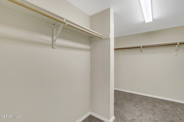 14140 TIERRA DELFIN Drive, El Paso, TX 79938