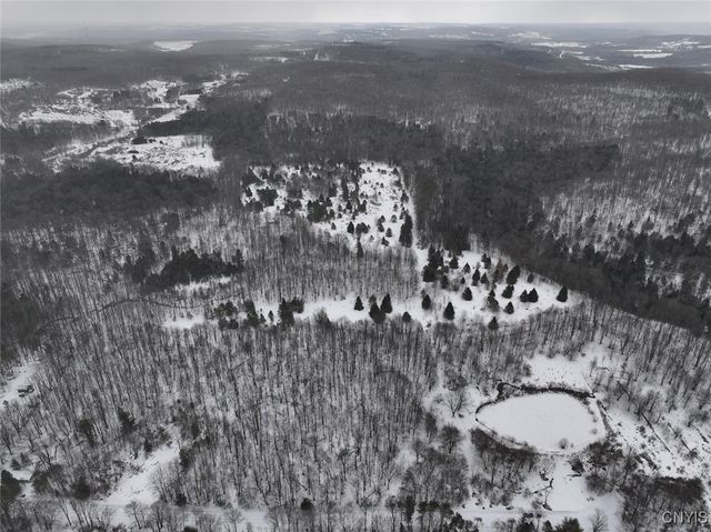 10020 Mclaughlin Road, Machias, NY 14171