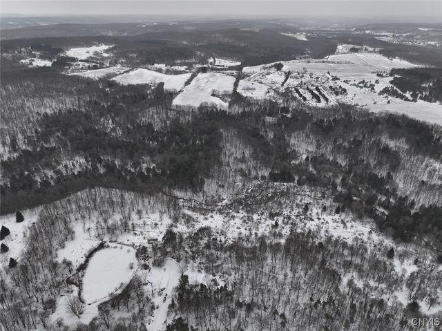 10020 Mclaughlin Road, Machias, NY 14171