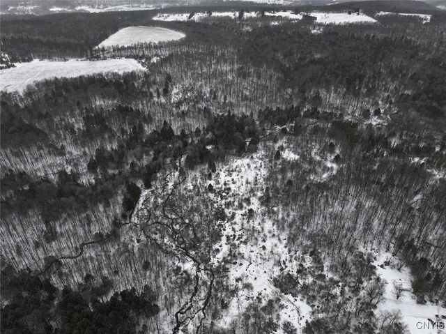 10020 Mclaughlin Road, Machias, NY 14171