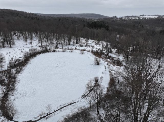 10020 Mclaughlin Road, Machias, NY 14171