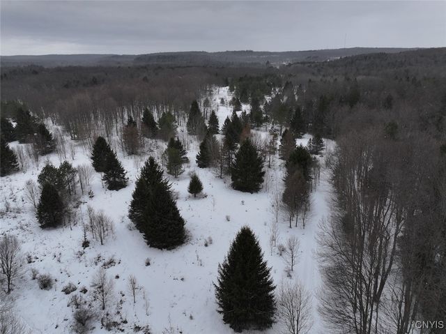 10020 Mclaughlin Road, Machias, NY 14171