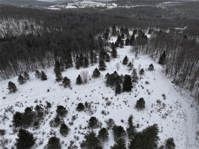 10020 Mclaughlin Road, Machias, NY 14171