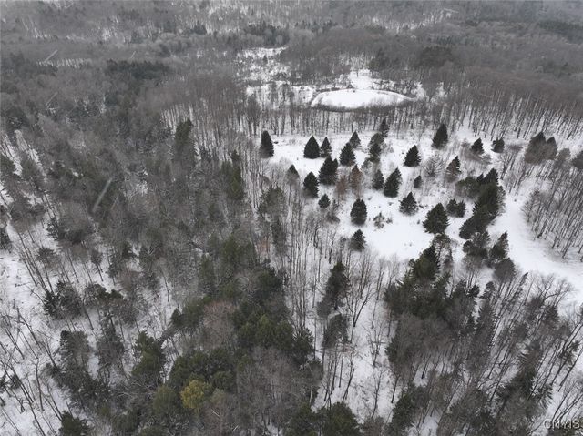 10020 Mclaughlin Road, Machias, NY 14171