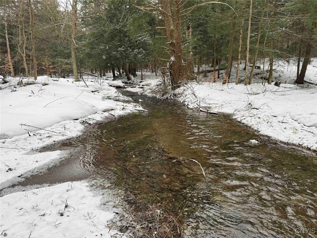 10020 Mclaughlin Road, Machias, NY 14171