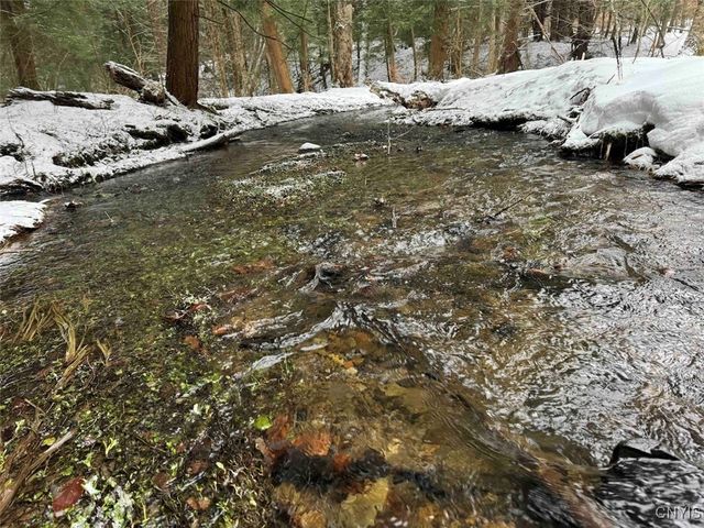 10020 Mclaughlin Road, Machias, NY 14171