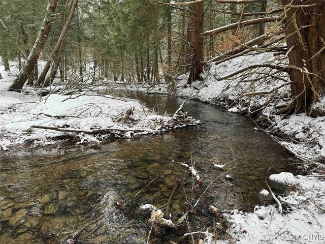 10020 Mclaughlin Road, Machias, NY 14171