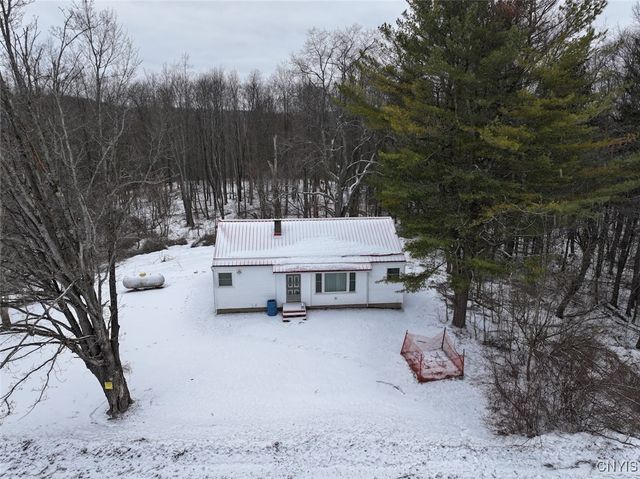 10020 Mclaughlin Road, Machias, NY 14171