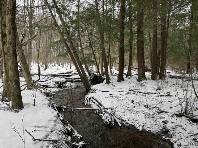 10020 Mclaughlin Road, Machias, NY 14171