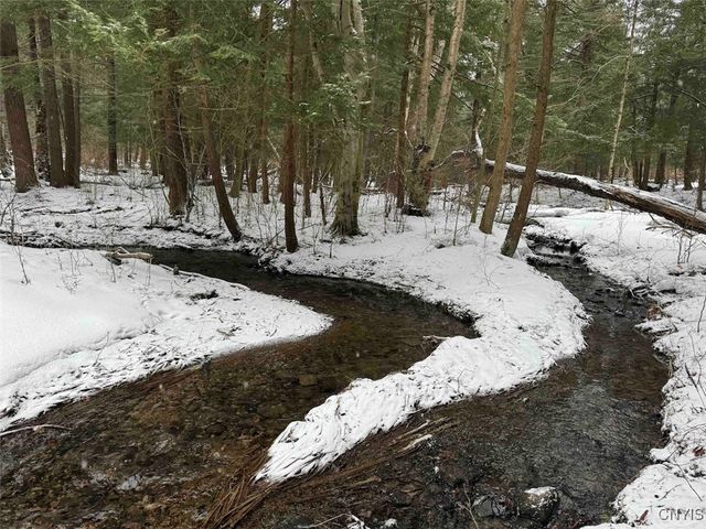 10020 Mclaughlin Road, Machias, NY 14171