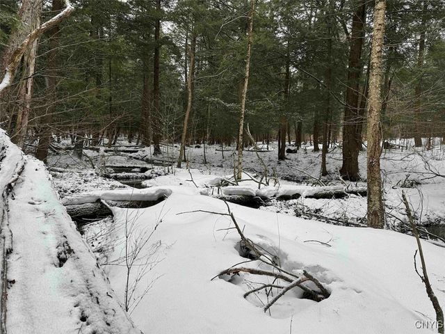 10020 Mclaughlin Road, Machias, NY 14171