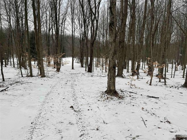 10020 Mclaughlin Road, Machias, NY 14171