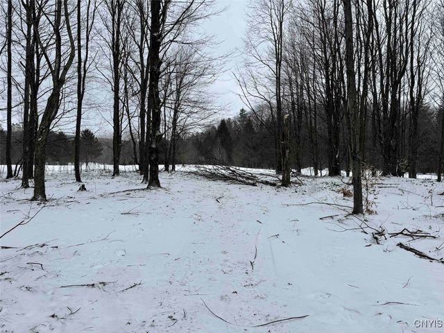 10020 Mclaughlin Road, Machias, NY 14171